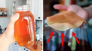 KOMBUCHA, O &ldquo;ELIXIR DA IMORTALIDADE&rdquo; E A BEBIDA DO BEM