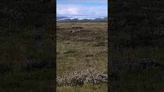 Iceland 🇮🇸 Distant View of Glacier, Golden Circle Tour