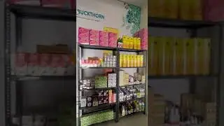 Natural India Supplement Trading Pvt Ltd Office #natural_india_wellness #natural #wellness
