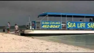 Sealife  Safari Clearwater Florida
