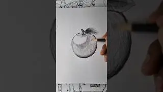 realistic apple drawing with graphite pencils | how to draw apple #drawing #realistic #art #artistv