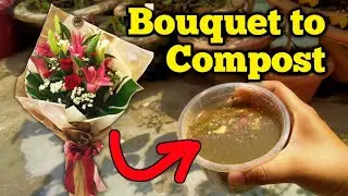 How To Make Liquid Compost Using Bouquets | FLOWER to FERTILIZER ||