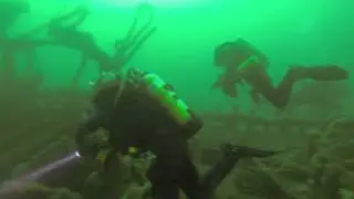 IOM Diving