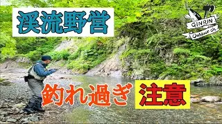 秋の北海道【渓流キャンプ】遡上アメマス爆釣！楽しすぎて終始笑いの絶えない渓流泊。