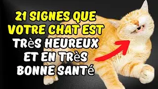 21 signes que ton chat est vraiment heureux !