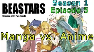 Every Difference in Episode 5 of Beastars. Manga vs. Anime (Season 1)