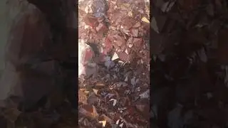 Where to find High Quality AMETHYST !?