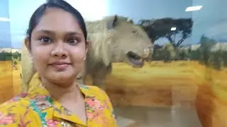 Part 2 Egmore museum video tamil#shortvideo#meesokenayeproduct#trending#vlog#news