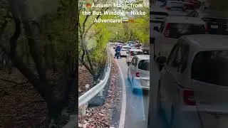 🍁Autumn Magic from the Bus Window &ndash; Nikko Adventure!🚌🍂