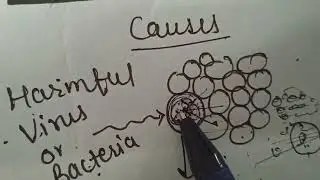 Apoptosis🦠 |Programmed Cell Death|Causes of Apoptosis |Hindi explaination