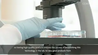 Using Organoids for Personalized Medicine: An Interview with Sylvia Boj from HUB