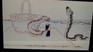 Red Bull Snakes Advert 2025