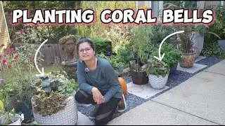 Simple & Beautiful Fall Planter Ideas with Heuchera