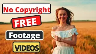 Free footage video || Girl walking through wheat || No copyright videos