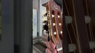 Guitar Clasic Godin Arena CW QIT