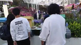 Flower show 2025 C9493
