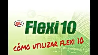 Como utilizar el flexi 10