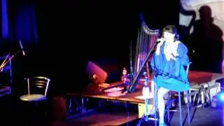 Леопард в Киеве (2) - Бродяга