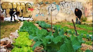 Vallcarca will be rural or it will not be