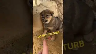 **
