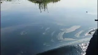 Waterway #manipur#travelvlog #indianmusic 