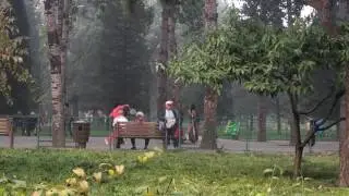 Chinese paddle ball pass in the park
