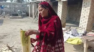 Shahr Bano Shar, woman from Khairpur who makes thread and other decorative items from banana stems