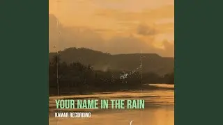 Light Through the Dark