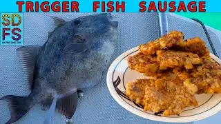 Trigger Fish Sausage Catch Clean Cook on a Sailboat in Mexico | Baja Sailing & Fishing Spring 2022