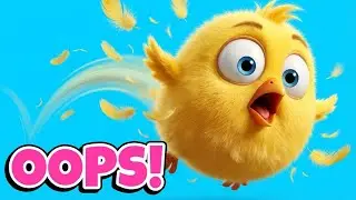 BOUNCY BIRDS! 🐤💨 | Funny Whee Whee Whee Dance Song | Kids Cartoon