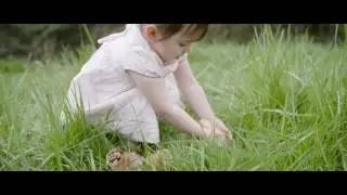 SPRING Wood Element