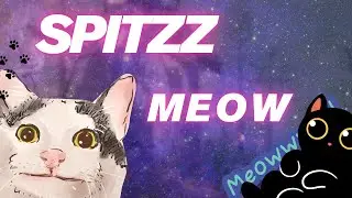 Spitzz - MEOW (прод. SchlauchJoerg Beat: Klein)