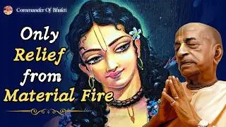 Nitāi-pada-kamala: The Only Relief from Material Fire | Śrīla Prabhupāda