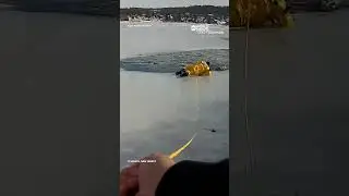 New Jersey officer rescues dog that fell into icy lake