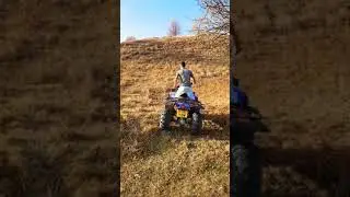 Atv linhai 300