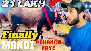 Finally hum be mandi pohanch gaye❤️janwaro ki price😱 21 lakh ka janwar be a gaya mandi ma😱❤️🌙