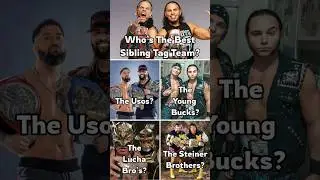 Best Sibling Tag Teams