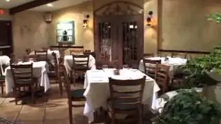 Experience the Esco Pazzo in Beautiful Miami, Florida