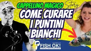👨🏻‍⚕️🐟 Il Mio Pesce ha i Puntini Bianchi: Cosa Fare SUBITO