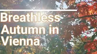 Japanese Park Vienna | Fall 2021 | Setagaya Park | Vienna's Secret | Autumn Walk | Herbst in Wien |