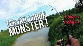 Casting Haruan | Strike Haruan Monster 1.6KG++ Dan 1.3KG++ | Daiwa Revrose RR LT 1000 | Vlog140