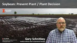 Soybean: Prevent Plant / Plant Decision
