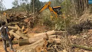 Mountainside Logging Deck Road Managing Woods and Opening Road JCB Backhoe