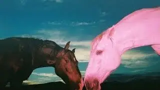 [FREE] CHARLI XCX X SOPHIE X EARTHEATER TYPE BEAT 2023 