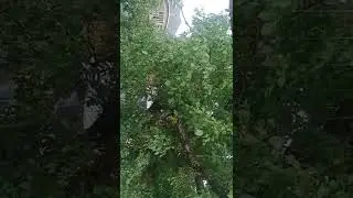 Rainfall | Winds | Kandi | Baramulla | J&K |