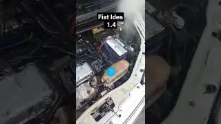 lavando o motor ideia #fiat #fire #carros #motor #idea #lava #shorts #shortvideo #lavagem #mecanica