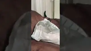 This Cat's Secret Talent Will Amaze You! #cat #catvideos #cats
