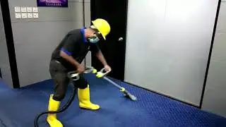 Carpet / Sofa Shampooing Cleaning (Chairs/Upholstery) - PIONEER Cleaning Services