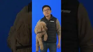 Welcome to Airtasker!