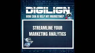 Streamline Your Marketing Analytics